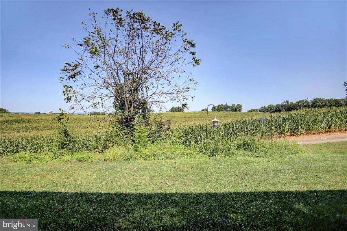 125 Blackbird Ln