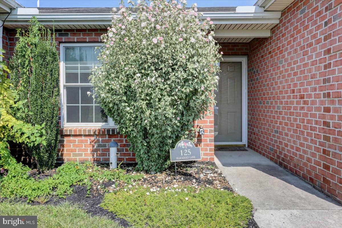 125 Blackbird Ln