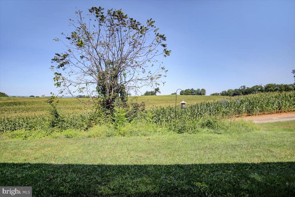 125 Blackbird Ln