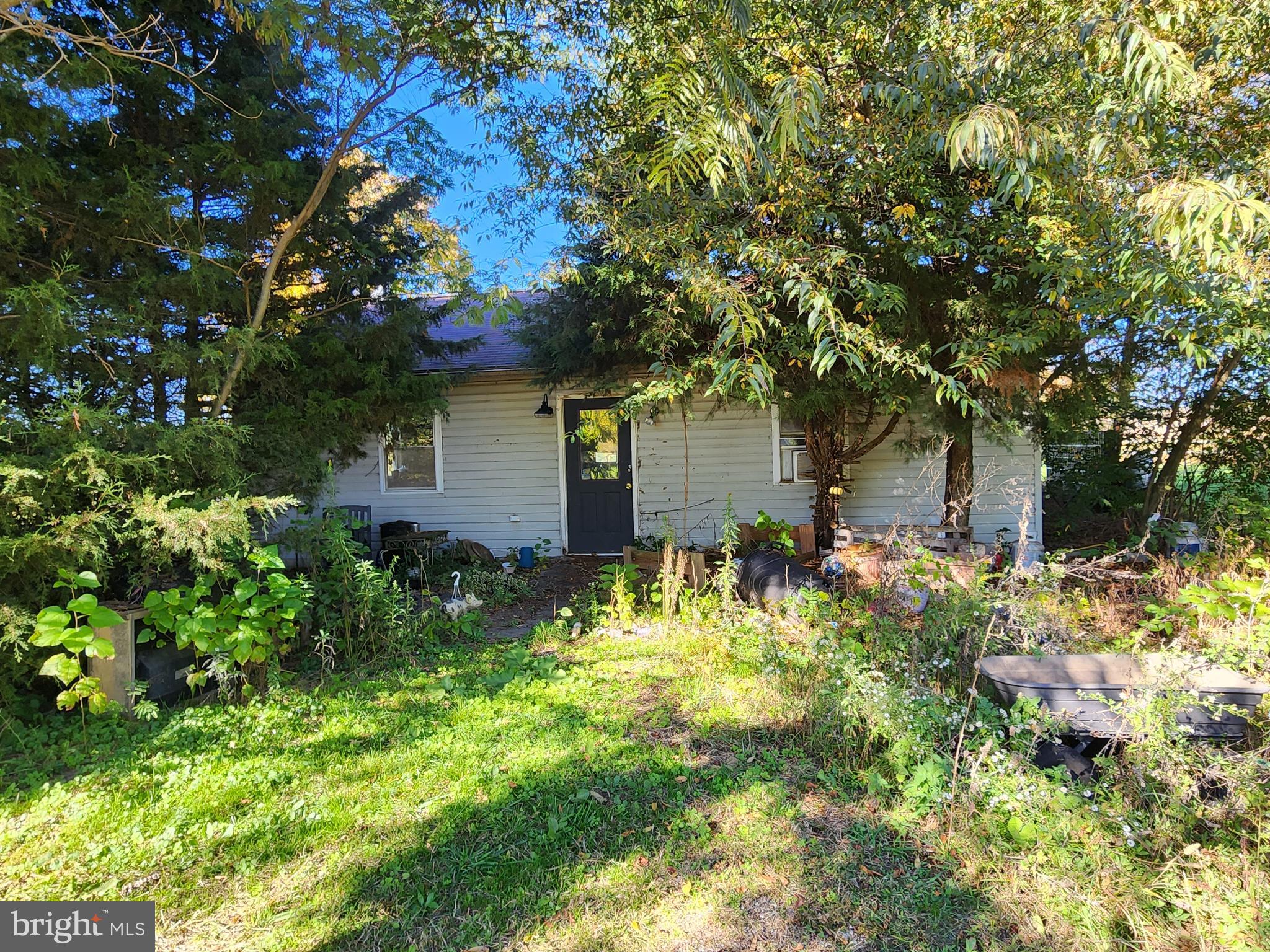 1555 Mount Pleasant Road Rd