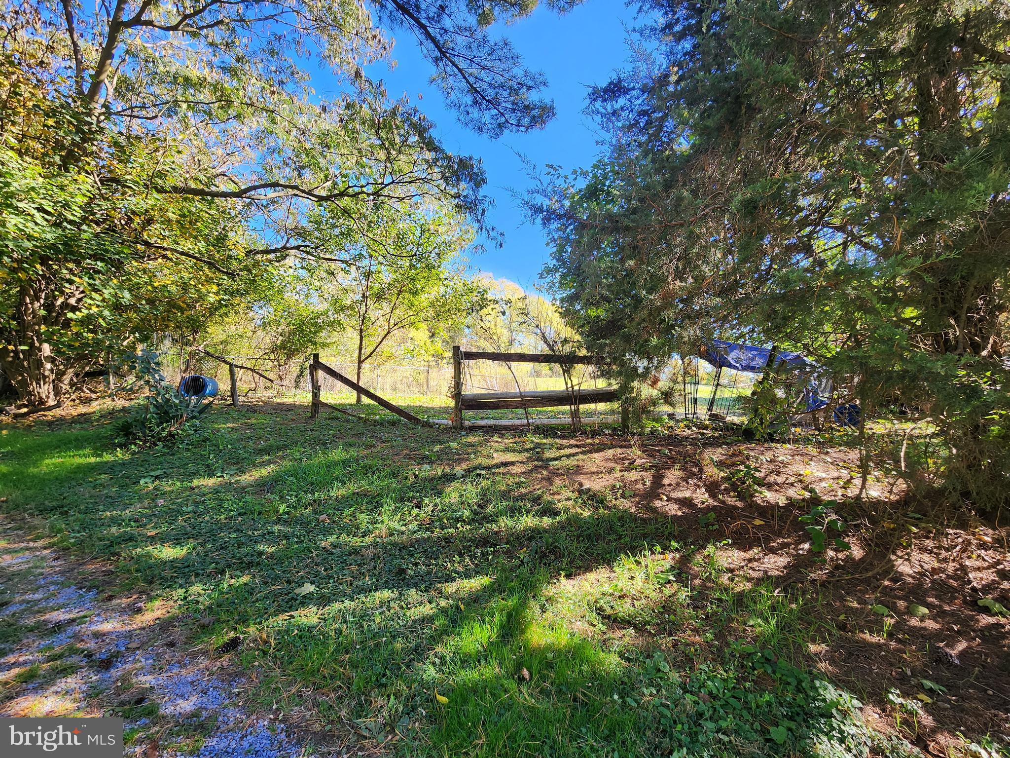 1555 Mount Pleasant Road Rd