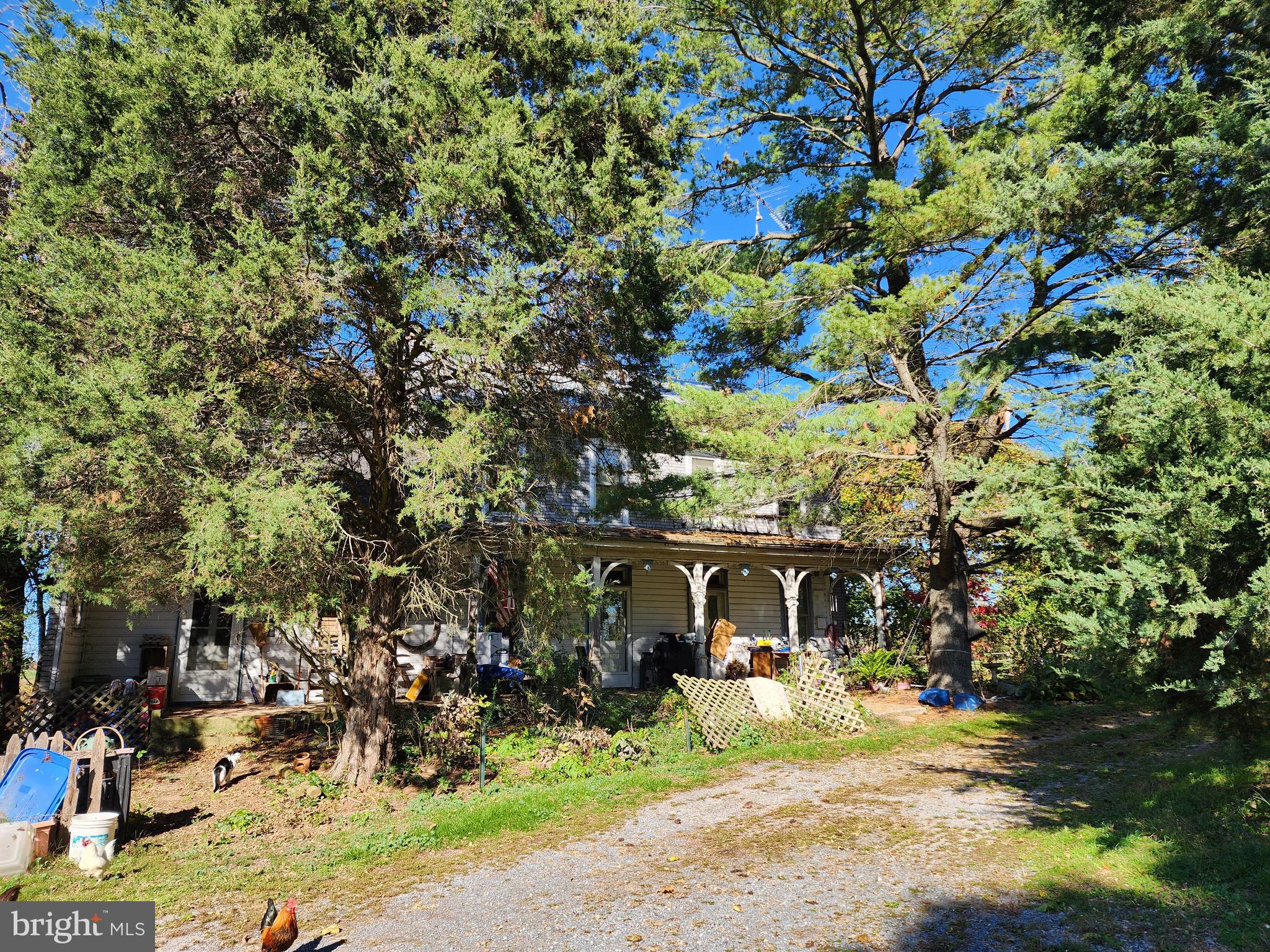 1555 Mount Pleasant Road Rd