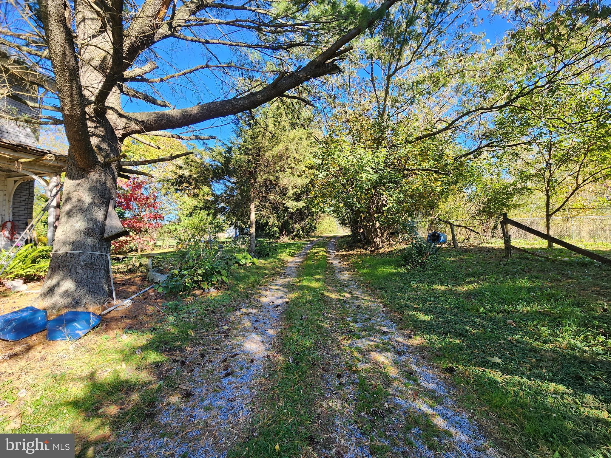 1555 Mount Pleasant Road Rd