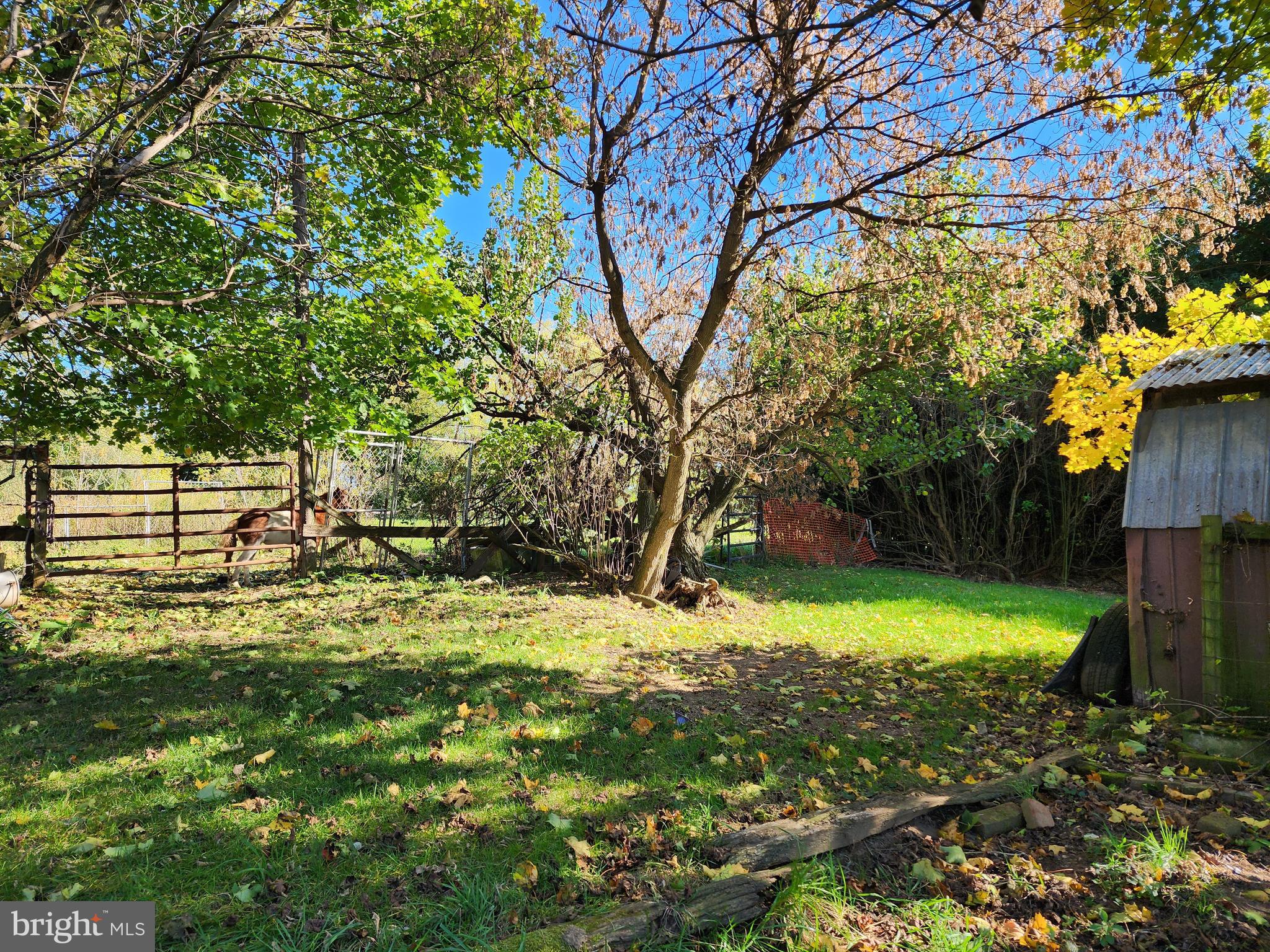 1555 Mount Pleasant Road Rd