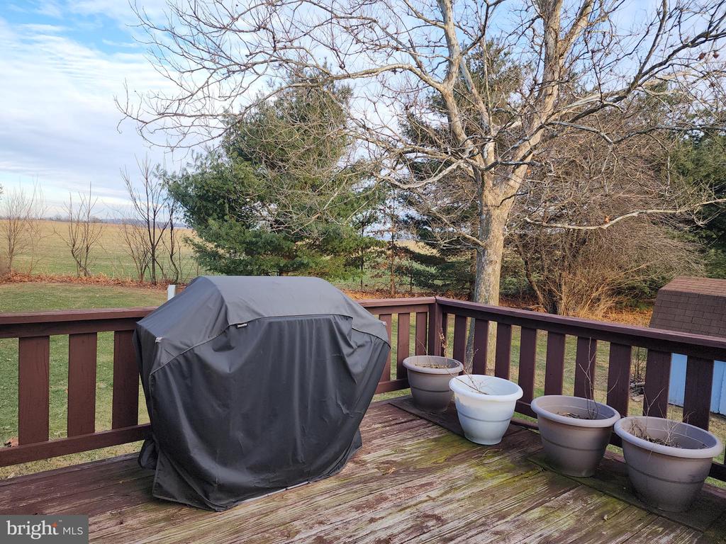 54 Lenwood Park #54
