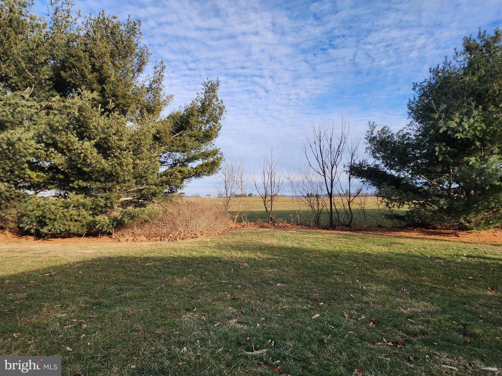 54 Lenwood Park #54