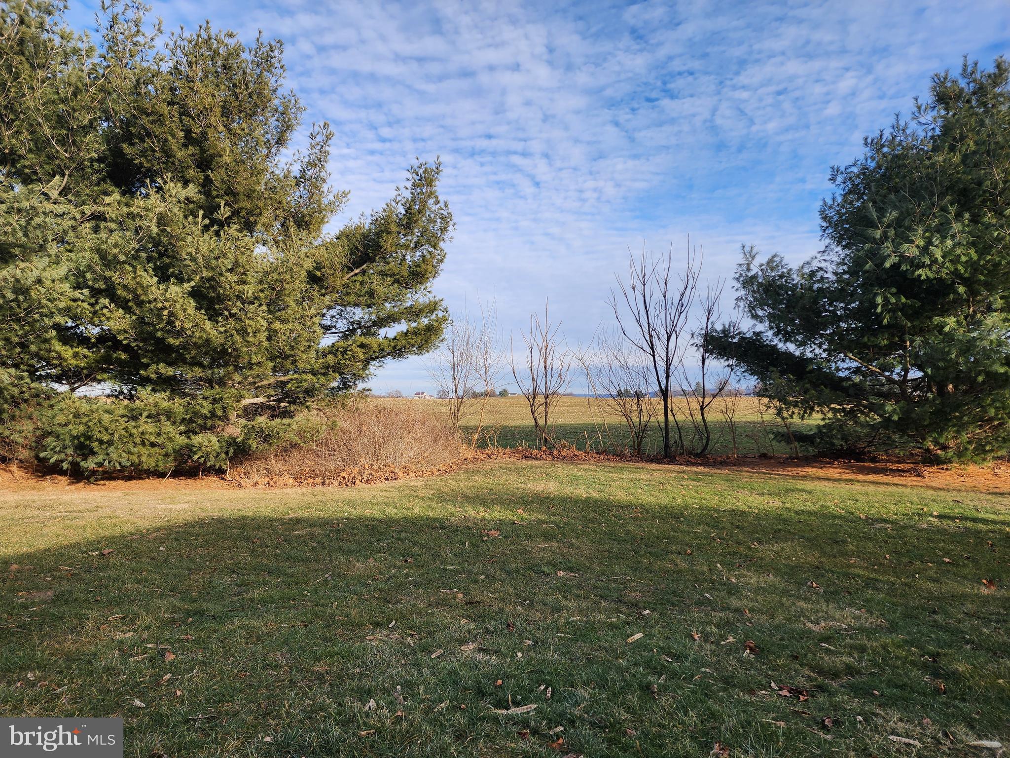54 Lenwood Park #54