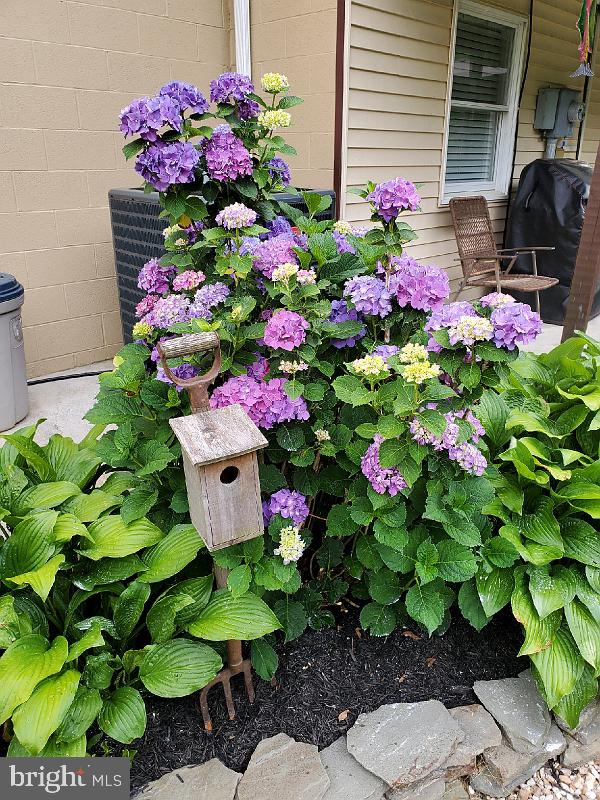 3979 Campbell Circle