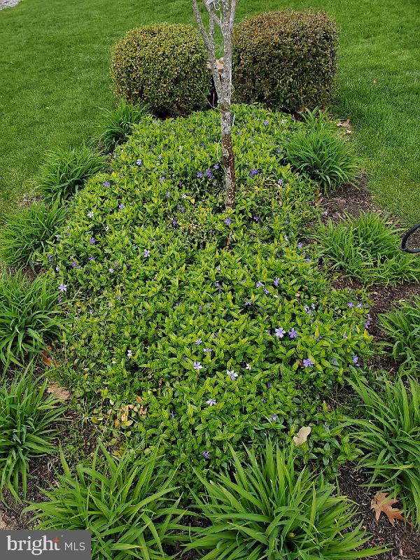 3979 Campbell Circle