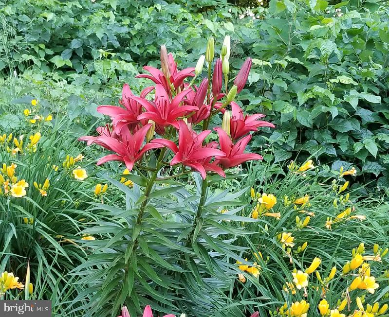 3979 Campbell Circle