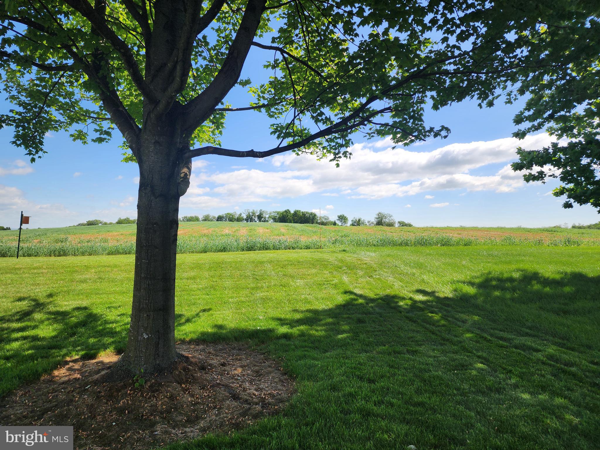 601-A Remington Drive