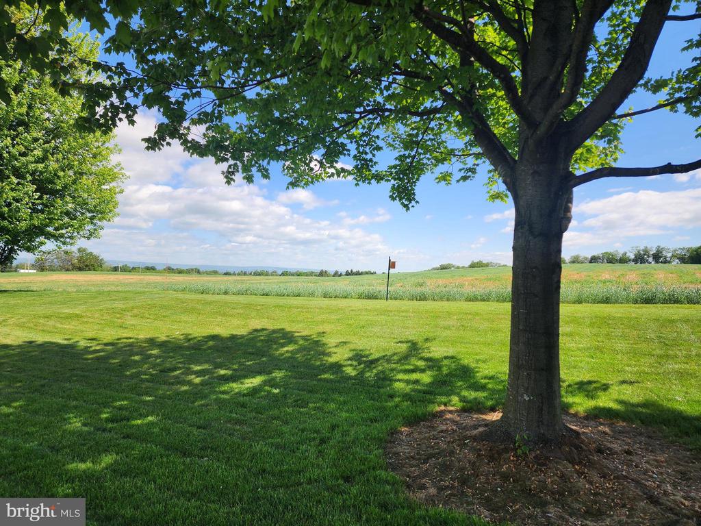 601-A Remington Drive