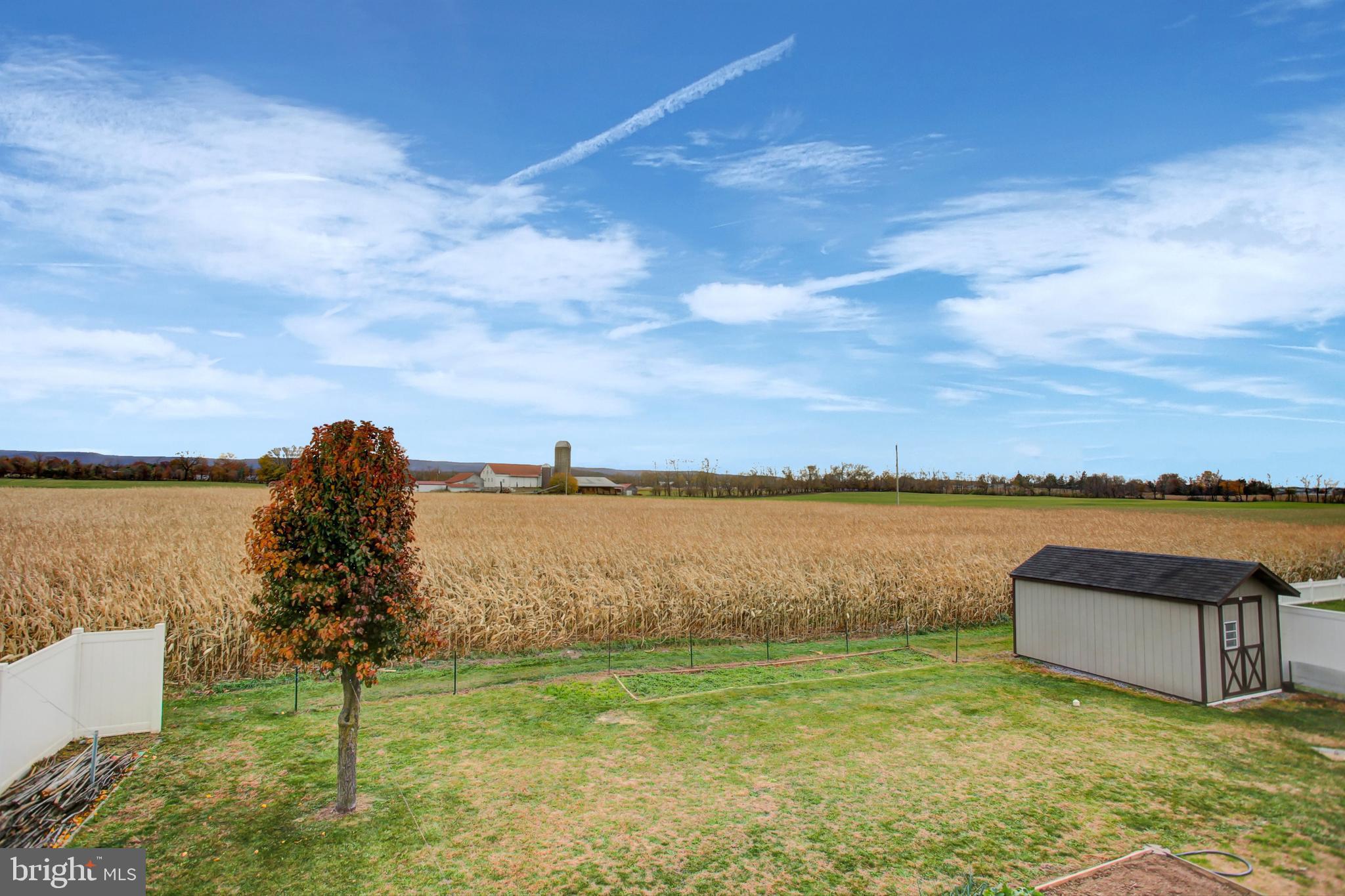 11278 THORNWOOD ROAD