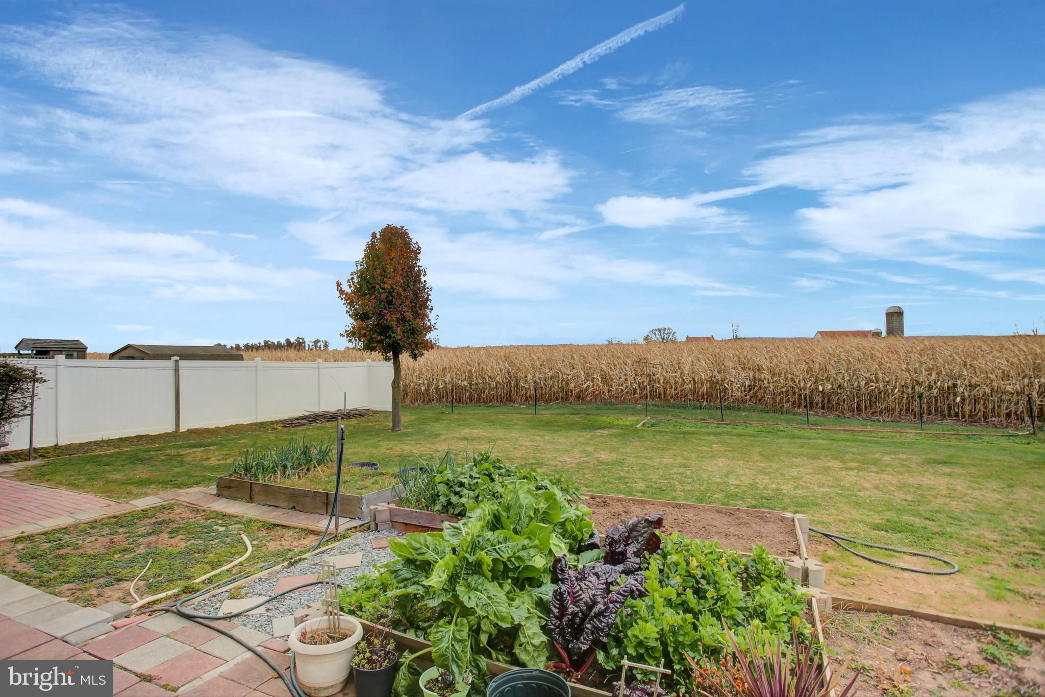 11278 THORNWOOD ROAD