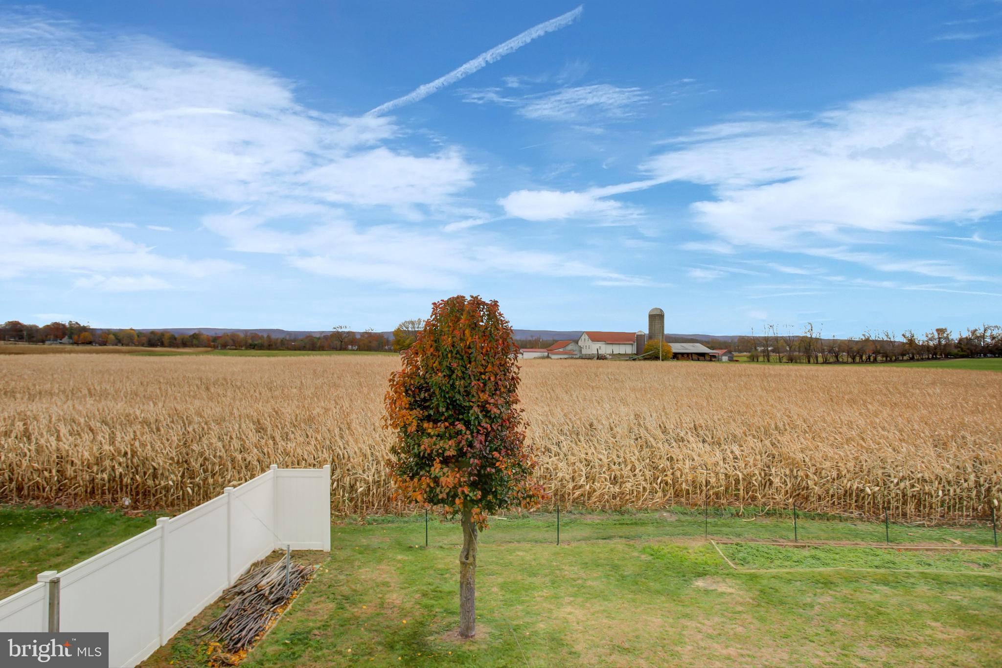 11278 THORNWOOD ROAD