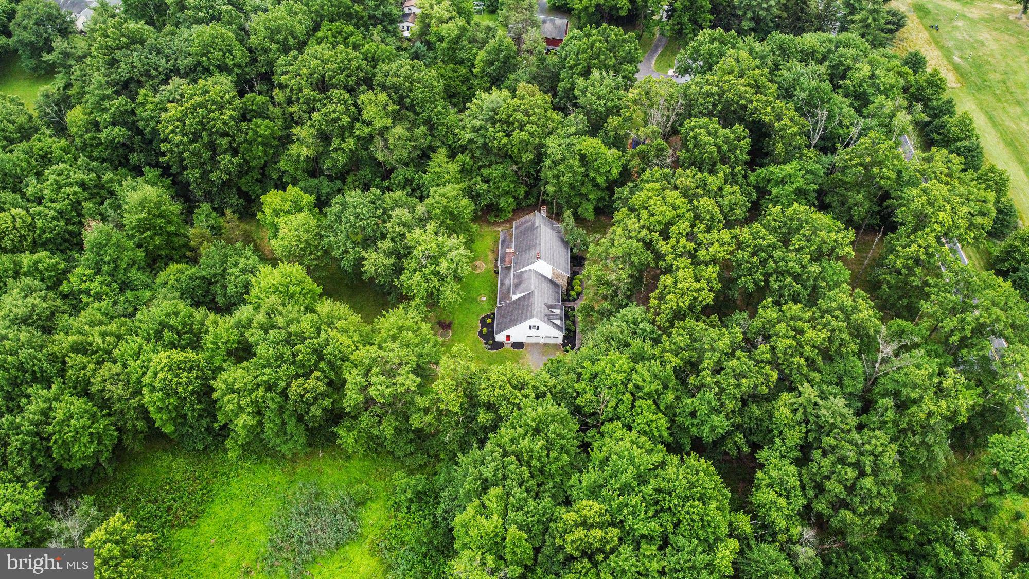 1230 Stongs Ln