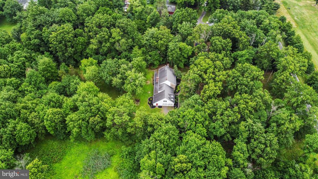 1230 Stongs Ln