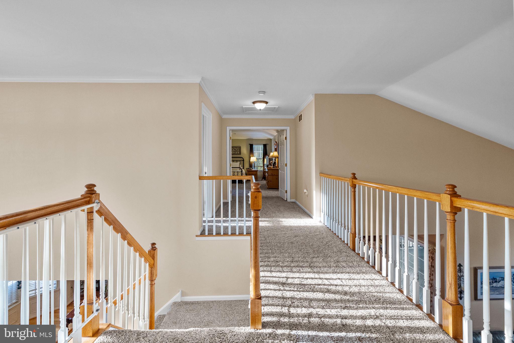 1382 Jasper Dr