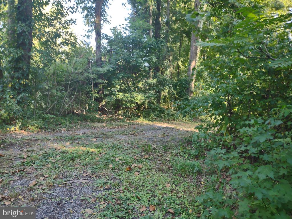 13416 Greensboro Rd