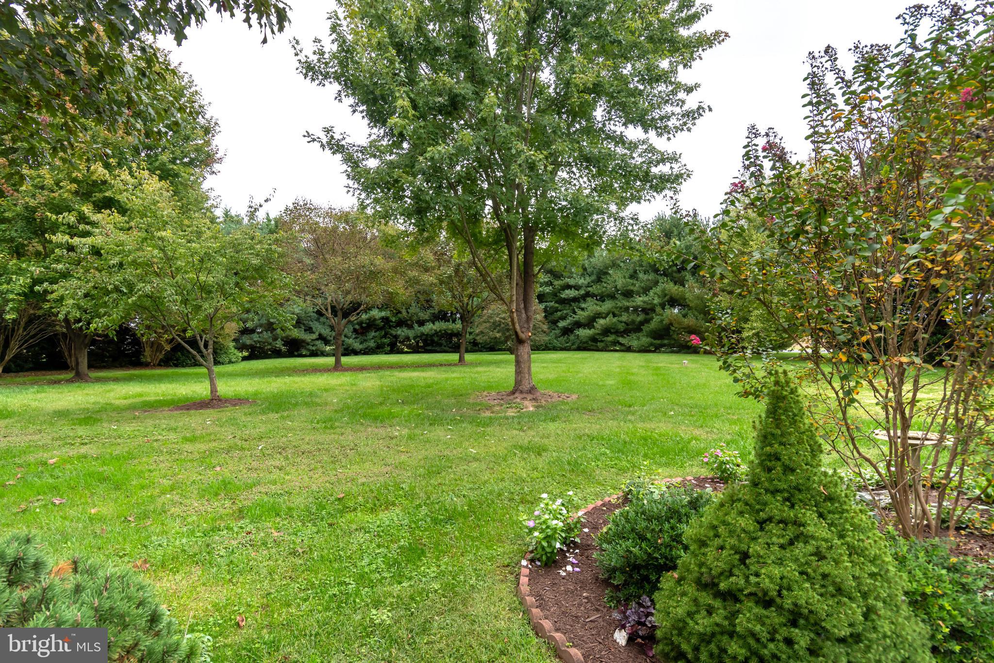 8475 Deer Run Rd