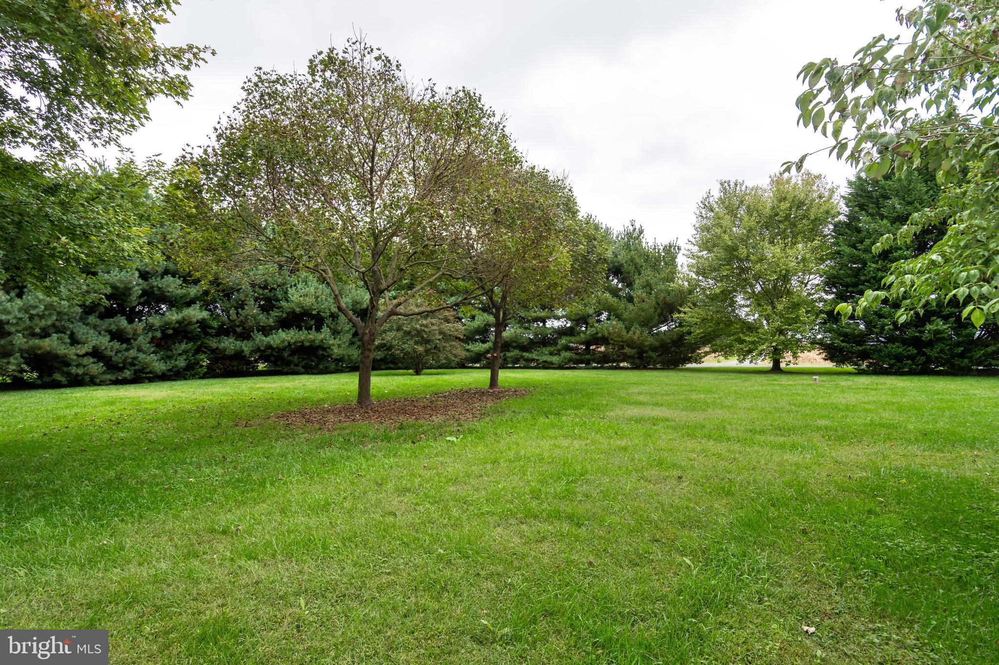 8475 Deer Run Rd