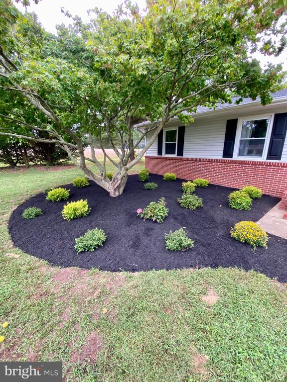 12826 Ridgely Rd