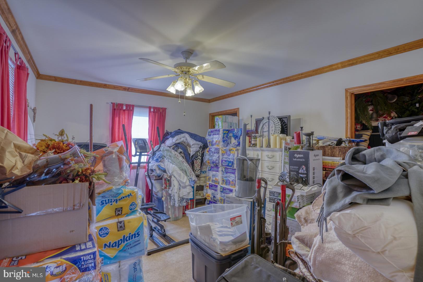 135 Kerney St