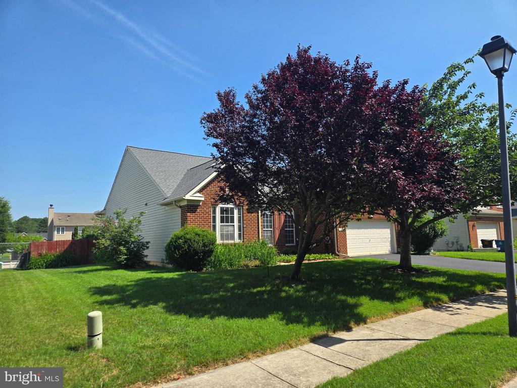 135 Walnut St
