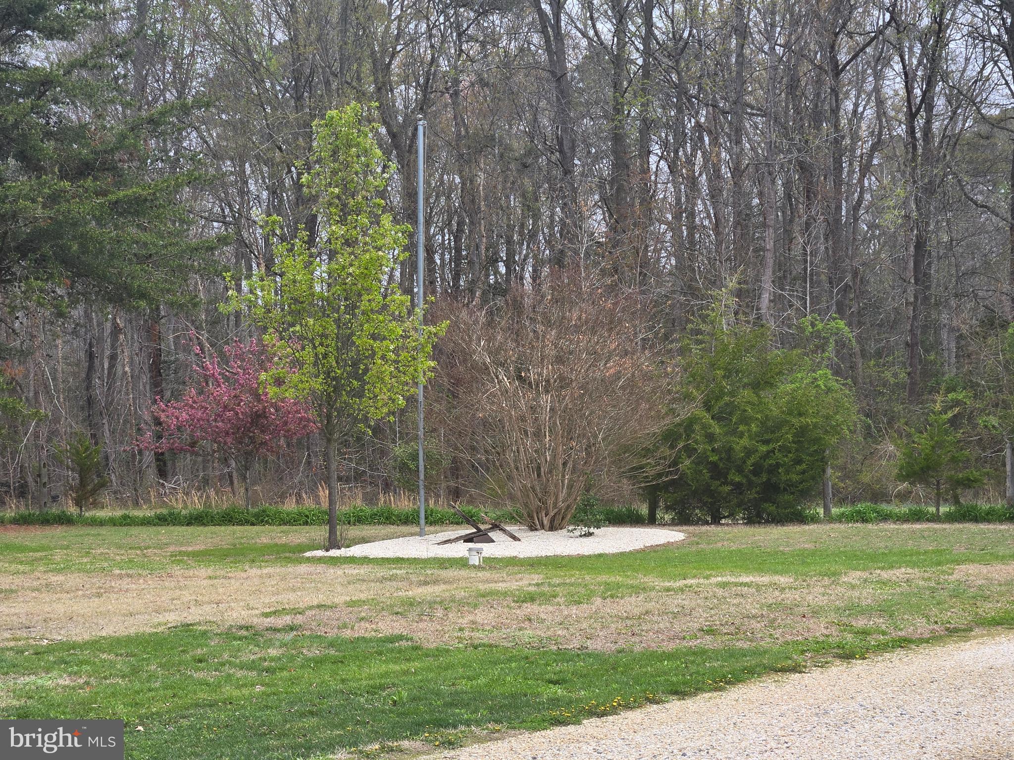 12484 GREENSBORO ROAD