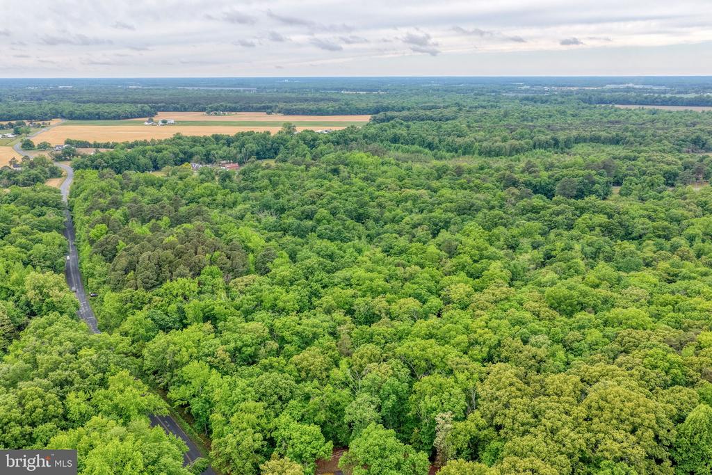 Lot #82 DRAPERS MILL RD.