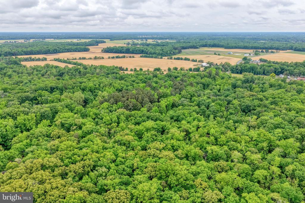Lot #82 DRAPERS MILL RD.