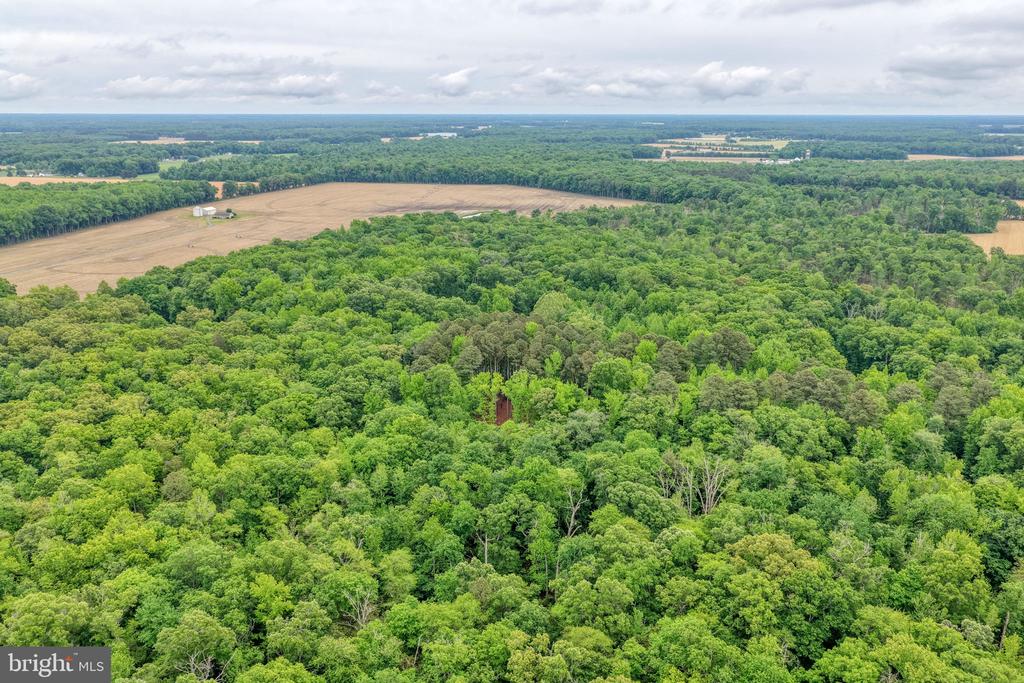 Lot #82 DRAPERS MILL RD.