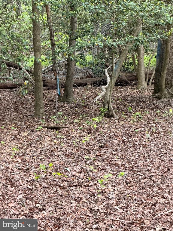 Lot #82 DRAPERS MILL RD.