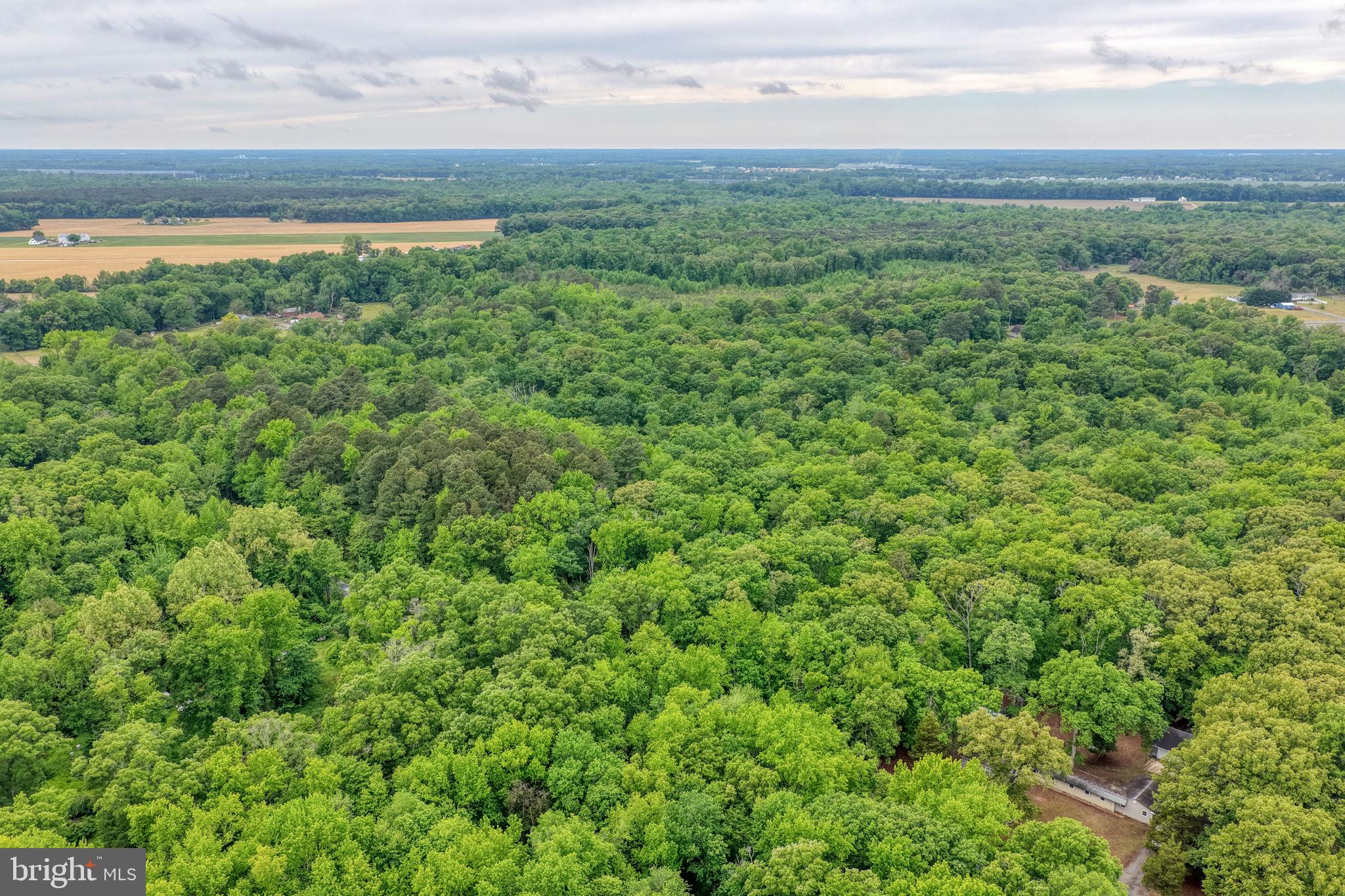 Lot #82 DRAPERS MILL RD.