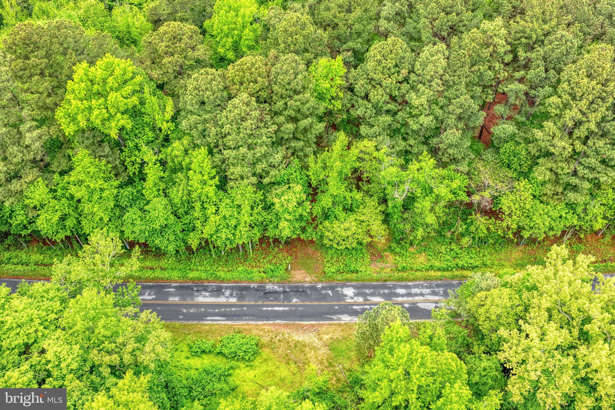 Lot #82 DRAPERS MILL RD.