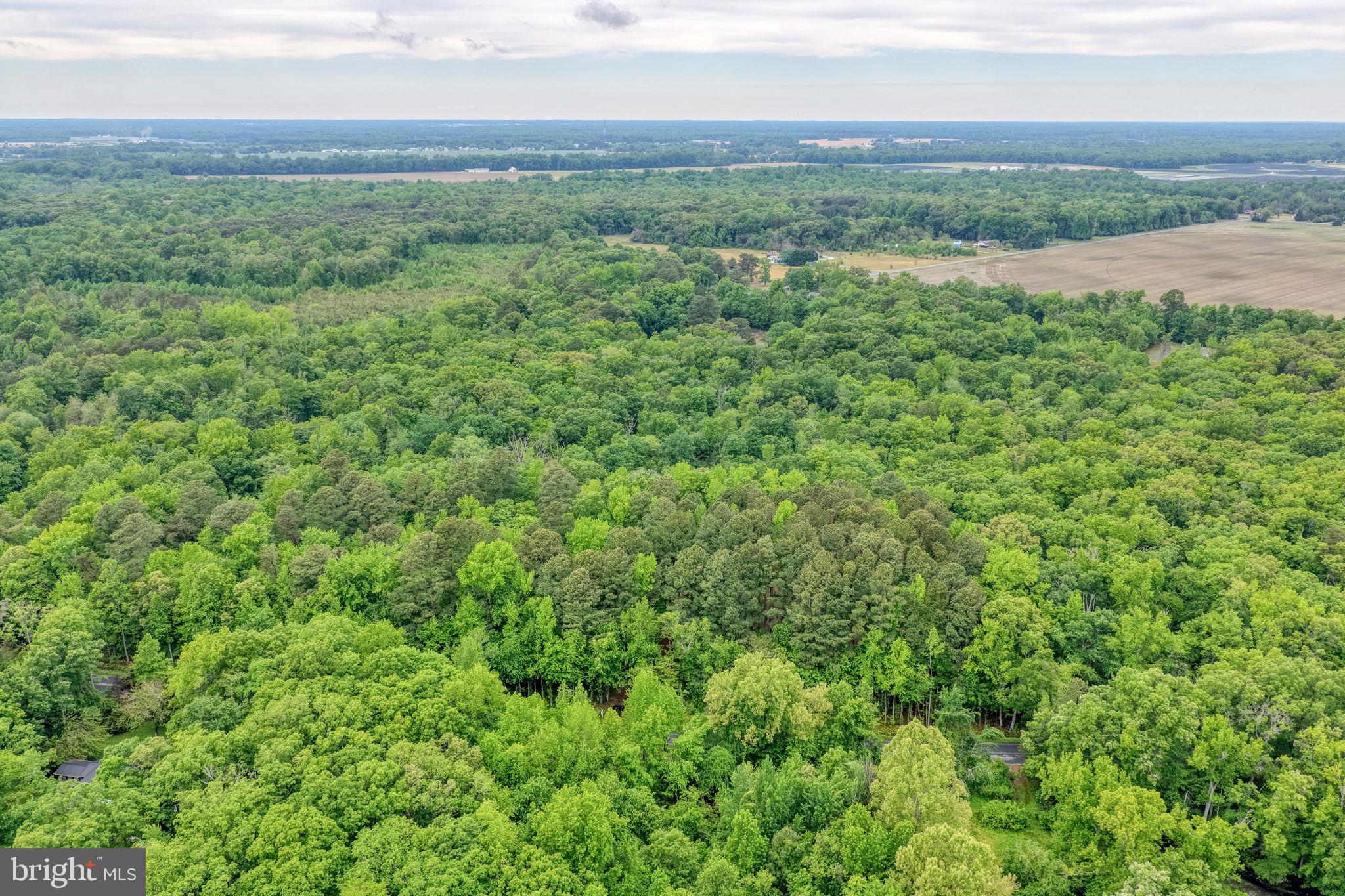 Lot #82 DRAPERS MILL RD.