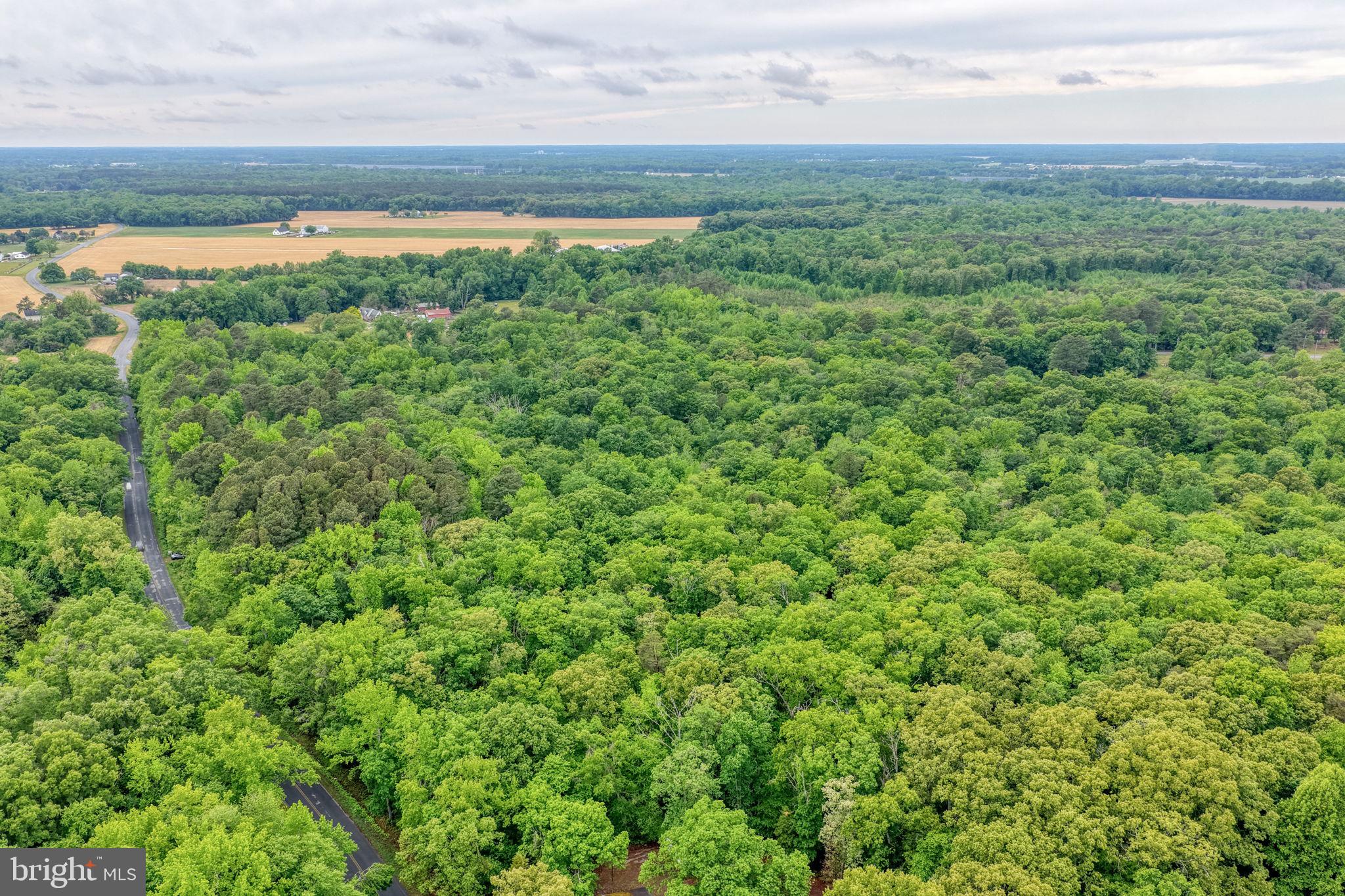 Lot #82 DRAPERS MILL RD.