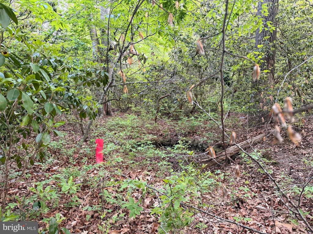 Lot #82 DRAPERS MILL RD.