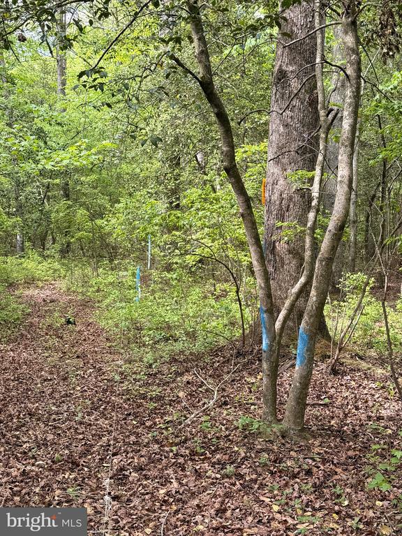 Lot #82 DRAPERS MILL RD.