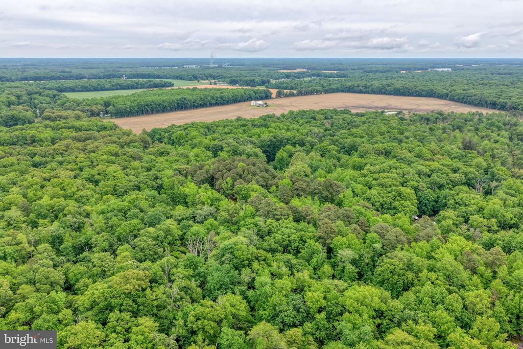 Lot #82 DRAPERS MILL RD.