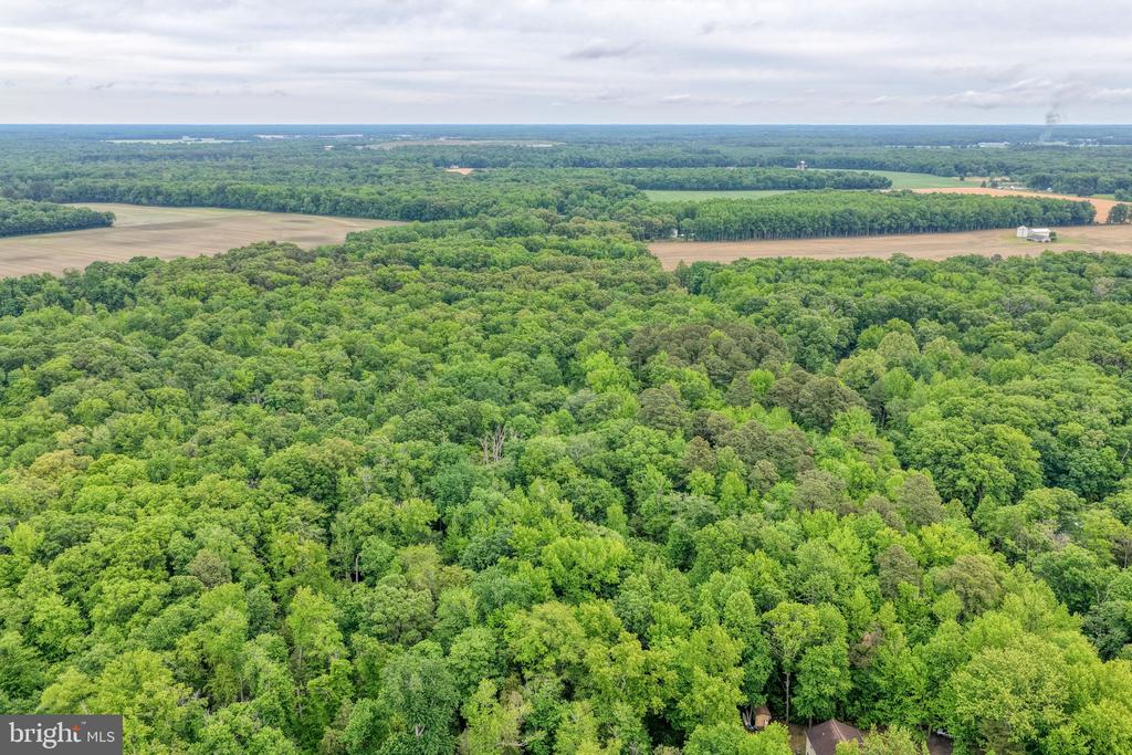 Lot #82 DRAPERS MILL RD.