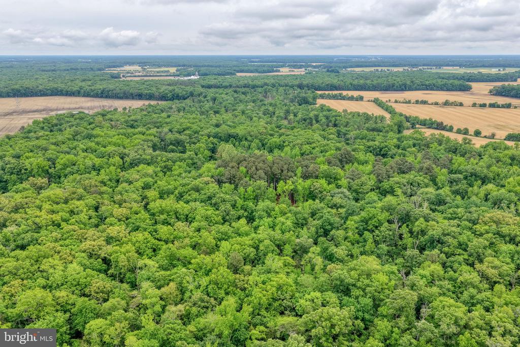 Lot #82 DRAPERS MILL RD.