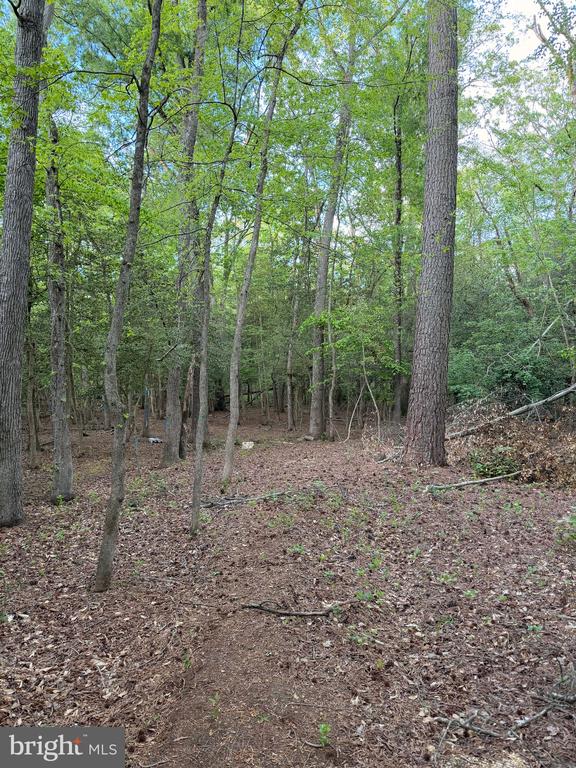Lot #82 DRAPERS MILL RD.