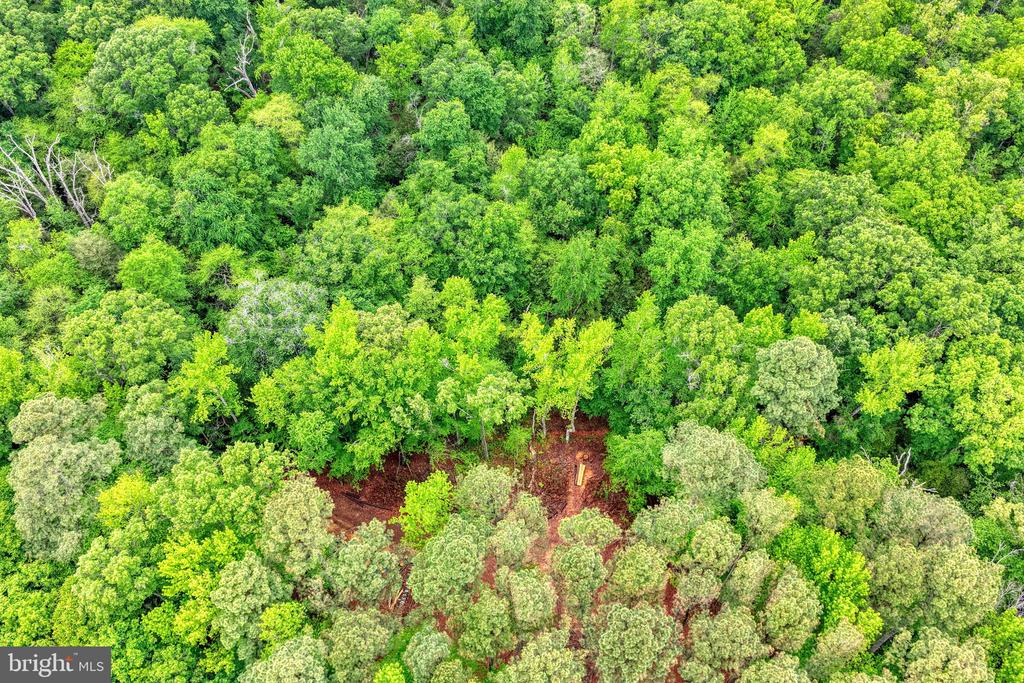 Lot #82 DRAPERS MILL RD.