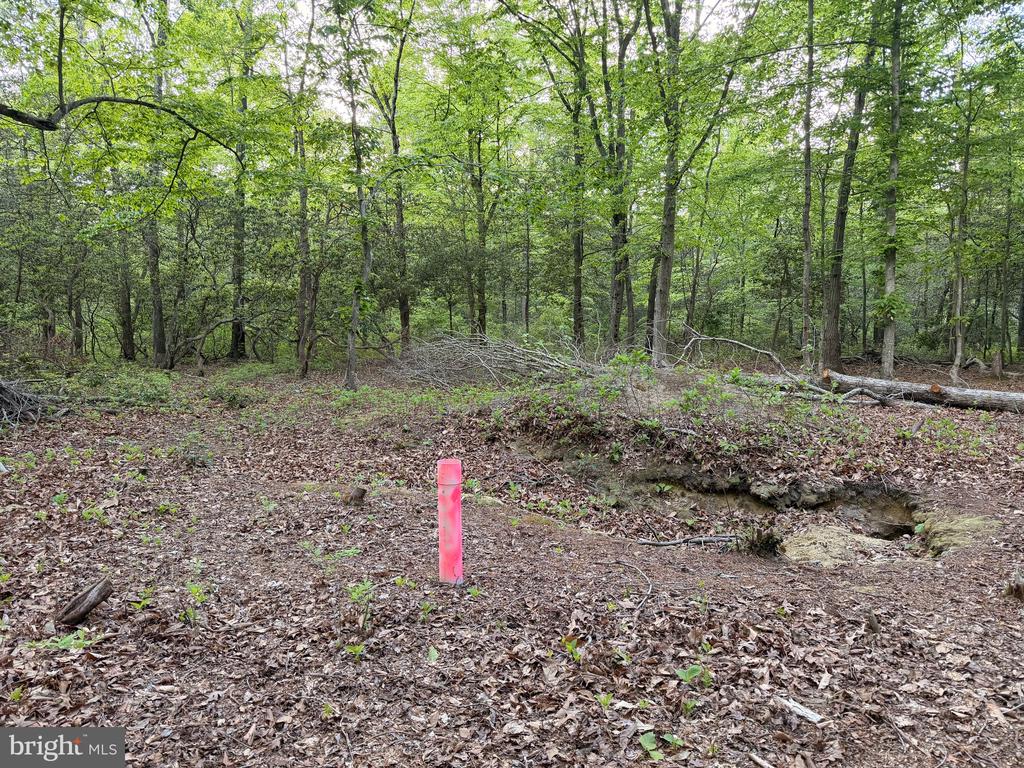 Lot #82 DRAPERS MILL RD.