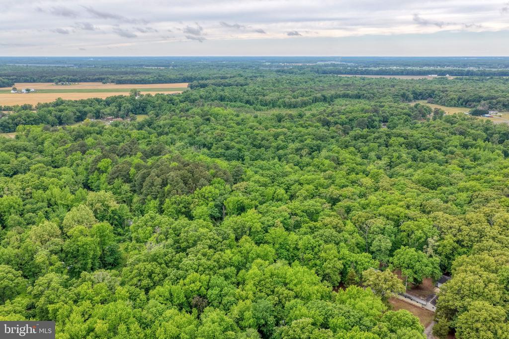 Lot #82 DRAPERS MILL RD.