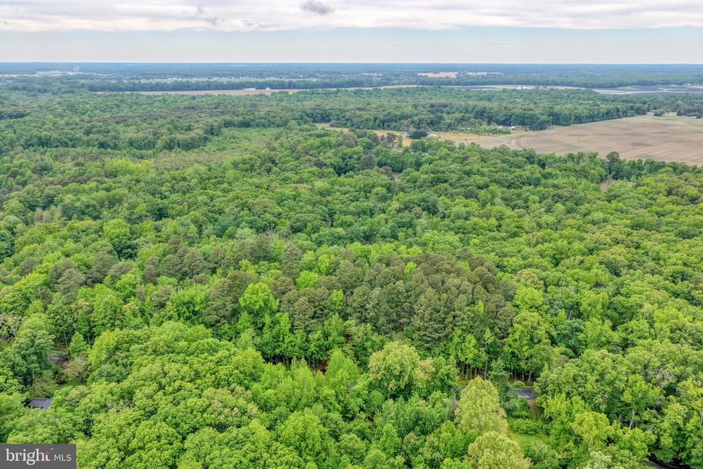 Lot #82 DRAPERS MILL RD.