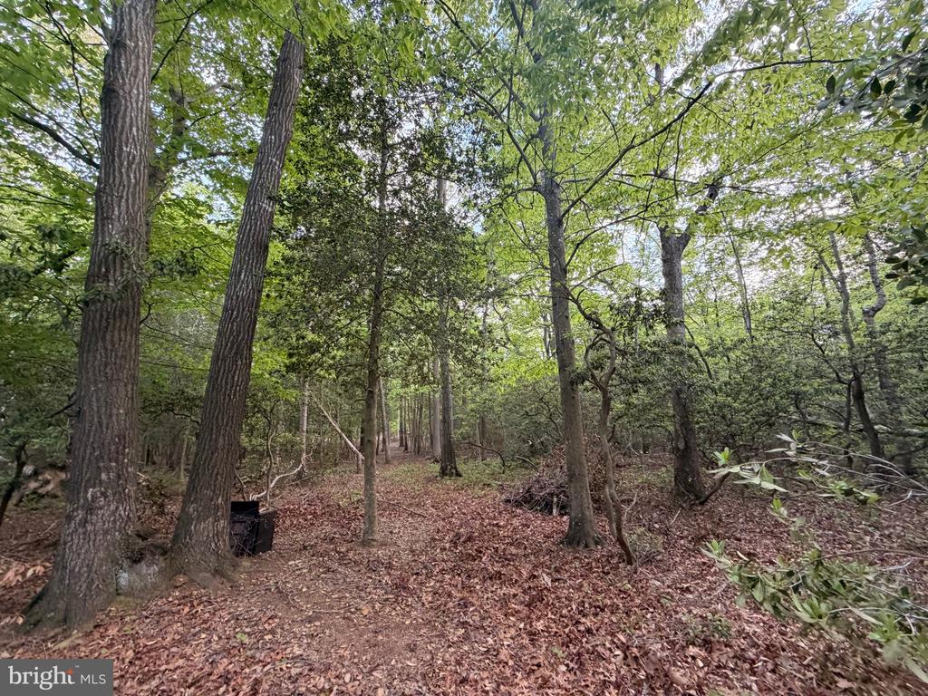 Lot #82 DRAPERS MILL RD.