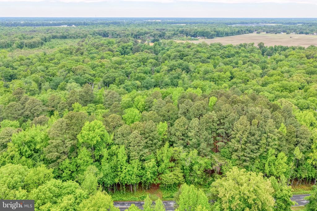 Lot #82 DRAPERS MILL RD.