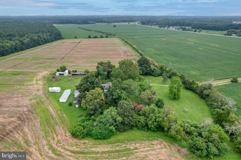 2238 PIG NECK ROAD